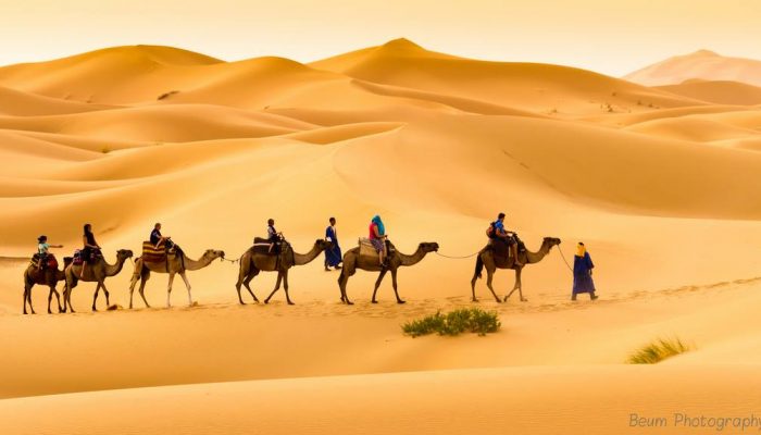 Camp Camel trekking Merzouga