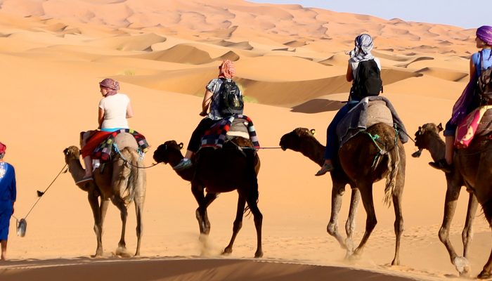 Merzouga Camel trekking